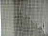 img0006.jpg