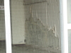 img0007.jpg