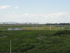 img0015.jpg