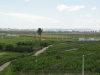 img0016.jpg