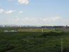 img0017.jpg