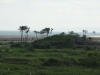img0019.jpg