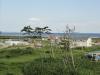 img0025.jpg