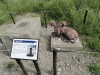 img0030.jpg