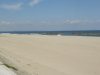 img0045.jpg