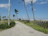 img0058.jpg