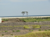 img0069.jpg