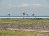 img0073.jpg