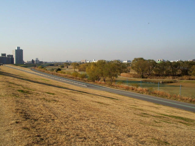 img0008.jpg