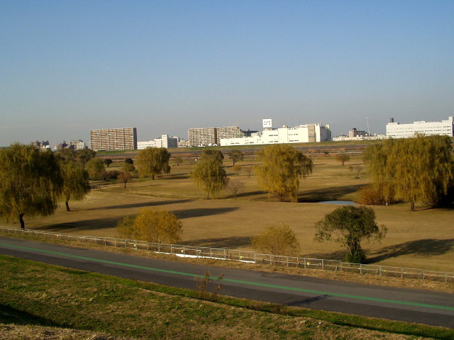 img0011.jpg