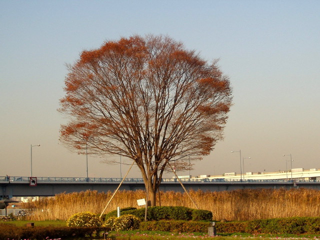 img0012.jpg