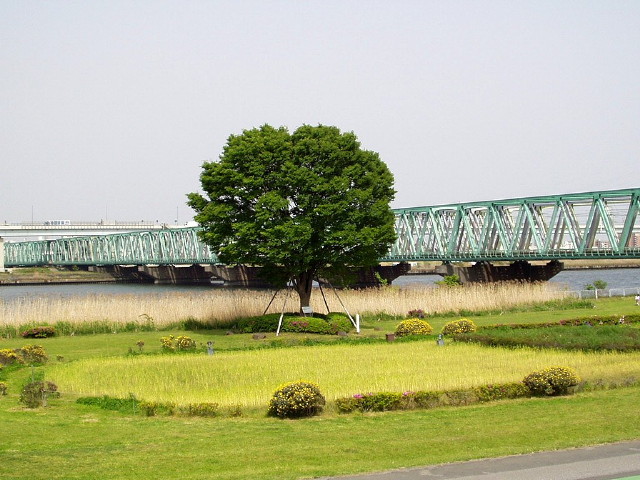 img0014.jpg