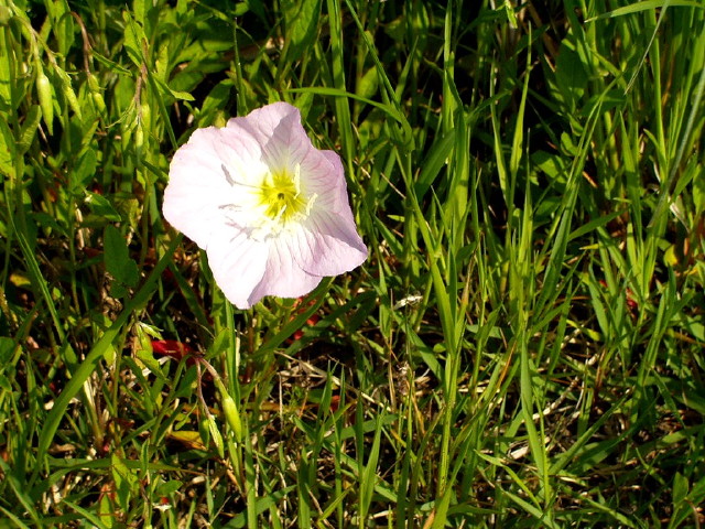 img0023.jpg