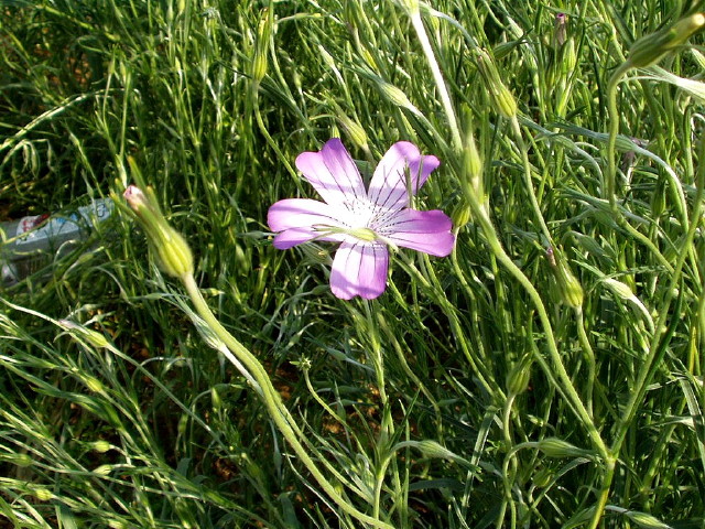 img0024.jpg
