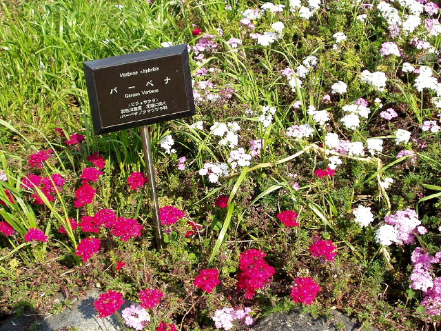 img0025.jpg