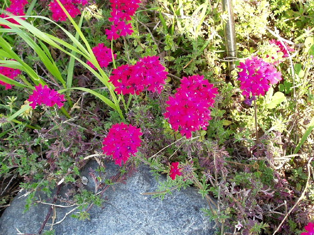 img0027.jpg