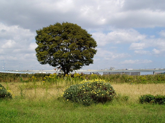 img0033.jpg