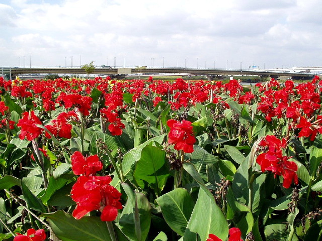 img0034.jpg