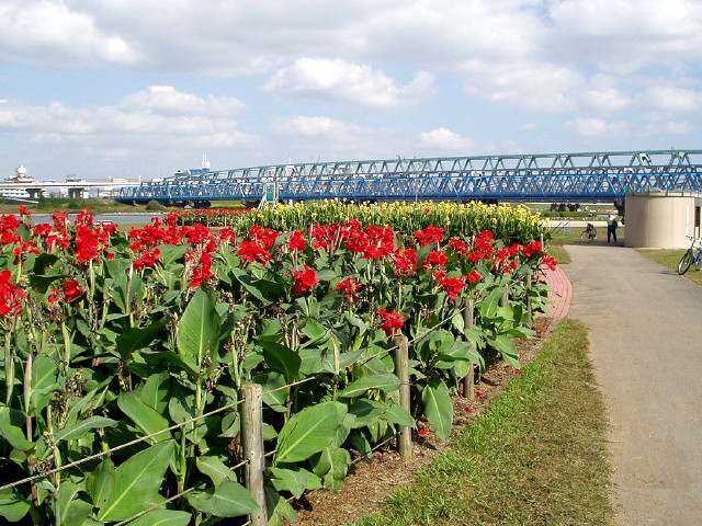 img0035.jpg