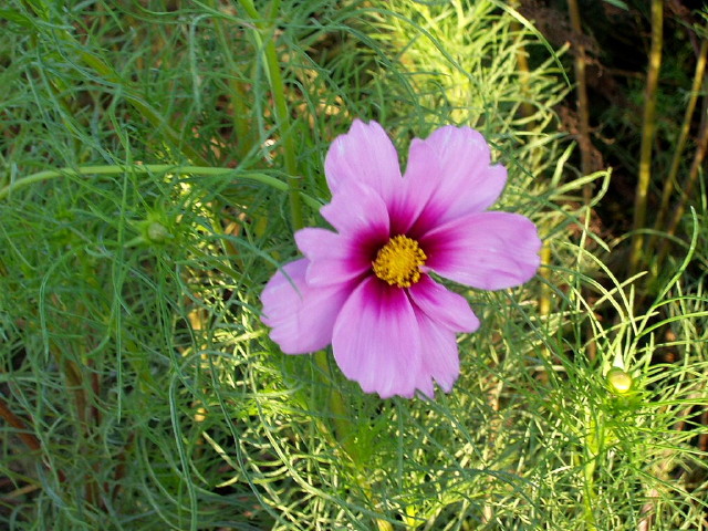 img0045.jpg