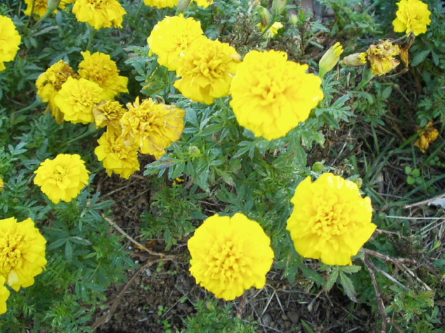 img0051.jpg