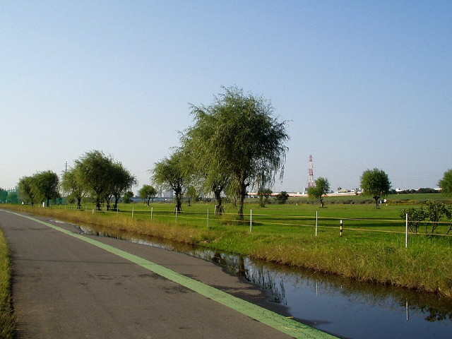 img0054.jpg