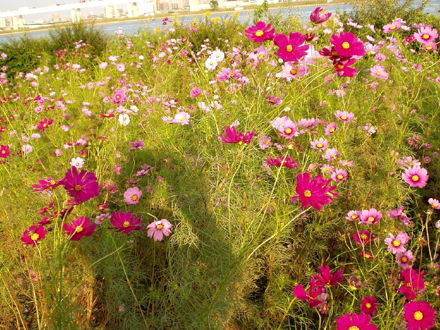 img0062.jpg