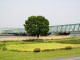 img0014.jpg