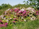 img0018.jpg