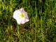 img0023.jpg