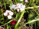 img0026.jpg