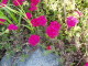 img0027.jpg