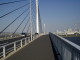 img0031.jpg