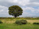 img0033.jpg