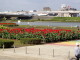 img0036.jpg