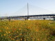 img0043.jpg