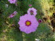 img0047.jpg