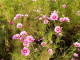 img0060.jpg