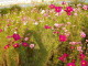 img0062.jpg
