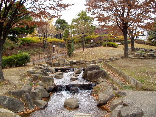 img0015.jpg