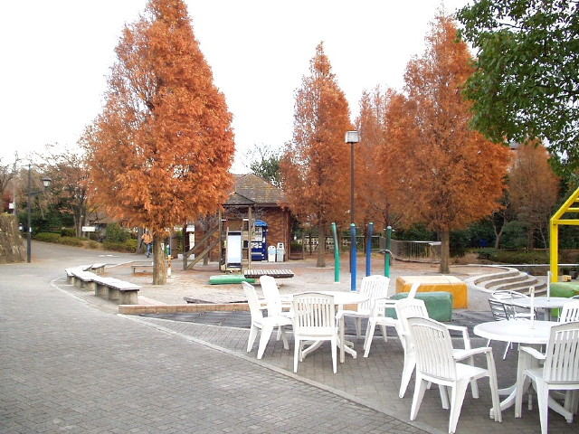 img0024.jpg