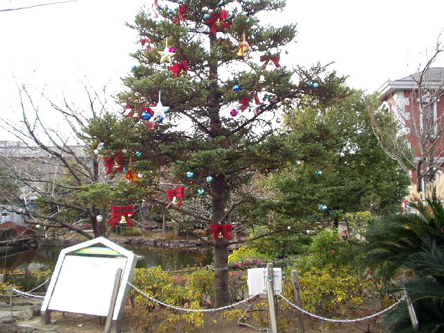 img0035.jpg