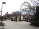 img0003.jpg