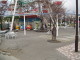 img0006.jpg