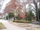 img0008.jpg