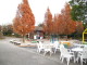img0024.jpg