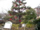 img0035.jpg