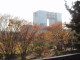 img0004.jpg