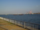 img0005.jpg