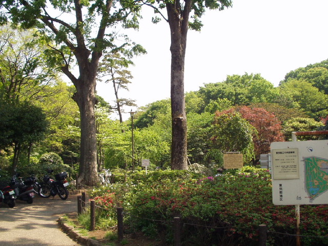img0000.jpg